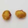 Breloque Coquille Saint Jacques