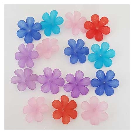15 Fleurs de Guimauve 02 Lucites assortis