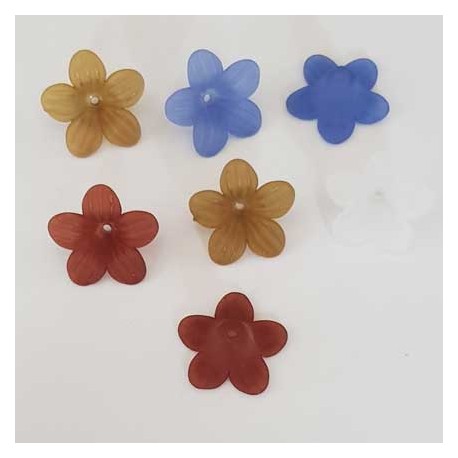 7 Fleurs Pensées assortis