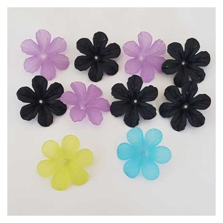10 Fleurs de Guimauve 02 Lucites assortis
