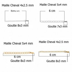 Chaîne d'extension Pour Collier Bracelet en Acier Inoxydable 6 cm