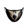 Masque Lavable Chien 02-D